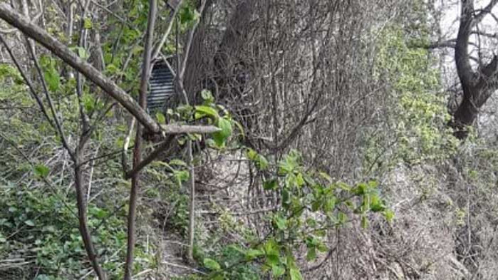 Позиция на Сдружение в обществена полза „Еко парк Галата“